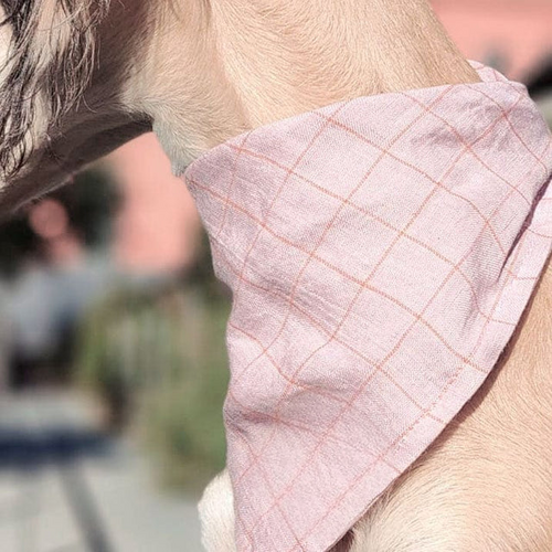 Cherry blossom bib
