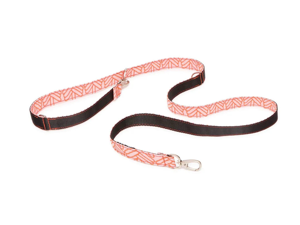 Coral webbing collar leash set