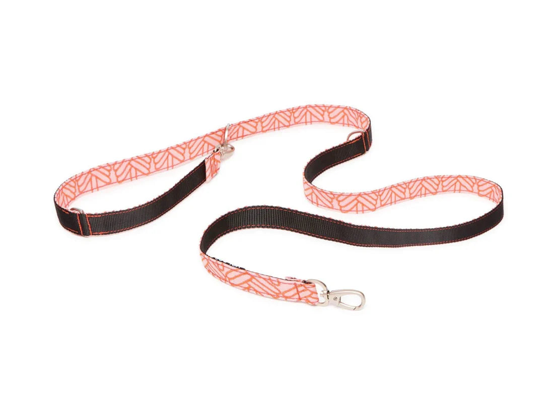 Coral webbing collar leash set