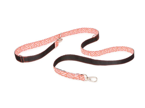 Coral webbing collar leash set