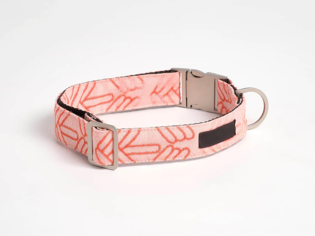 Coral webbing collar leash set