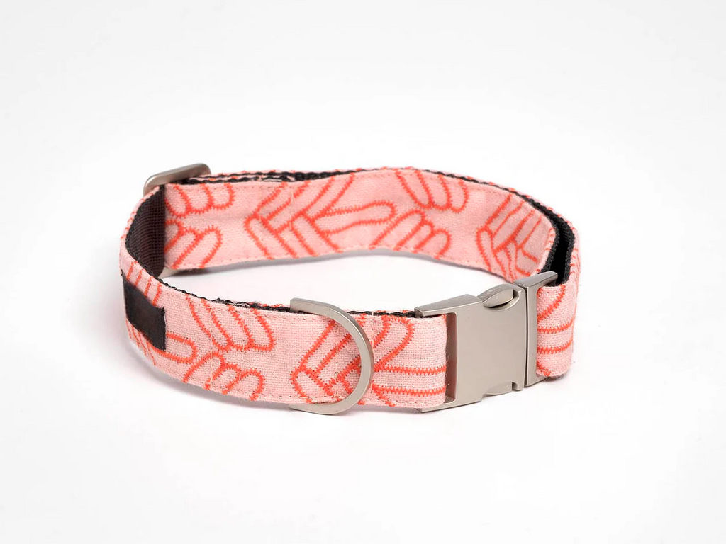 Coral webbing collar leash set