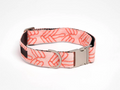 Coral webbing collar leash set