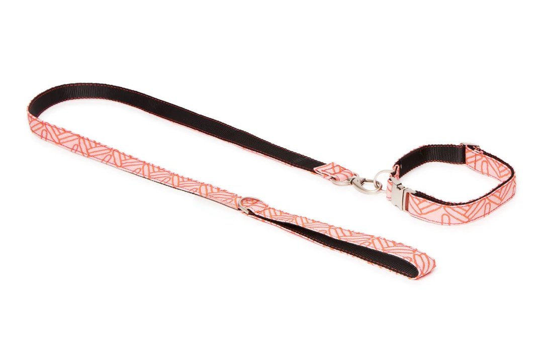 Coral webbing collar leash set