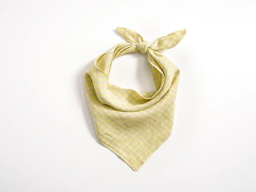 Lemon pie bib