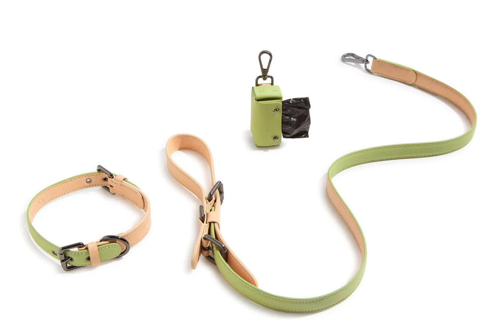 Matcha leather collar leash set