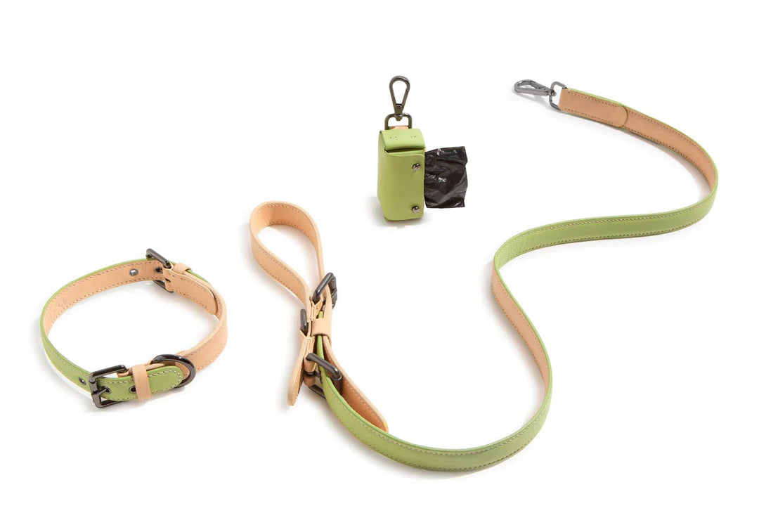 Matcha leather collar leash set