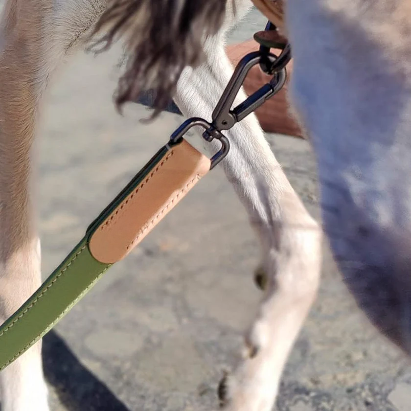 Matcha leather collar leash set