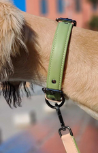 Matcha leather collar leash set