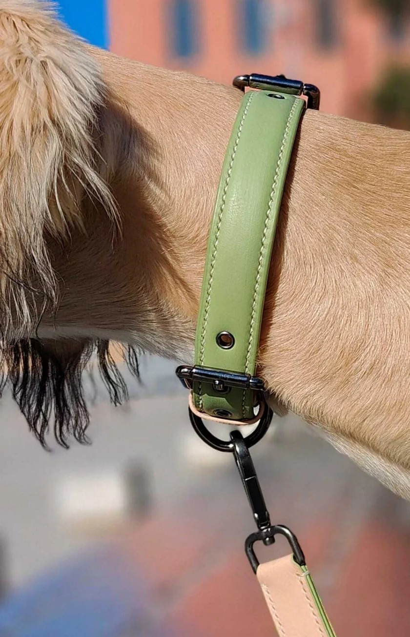 Matcha leather collar leash set