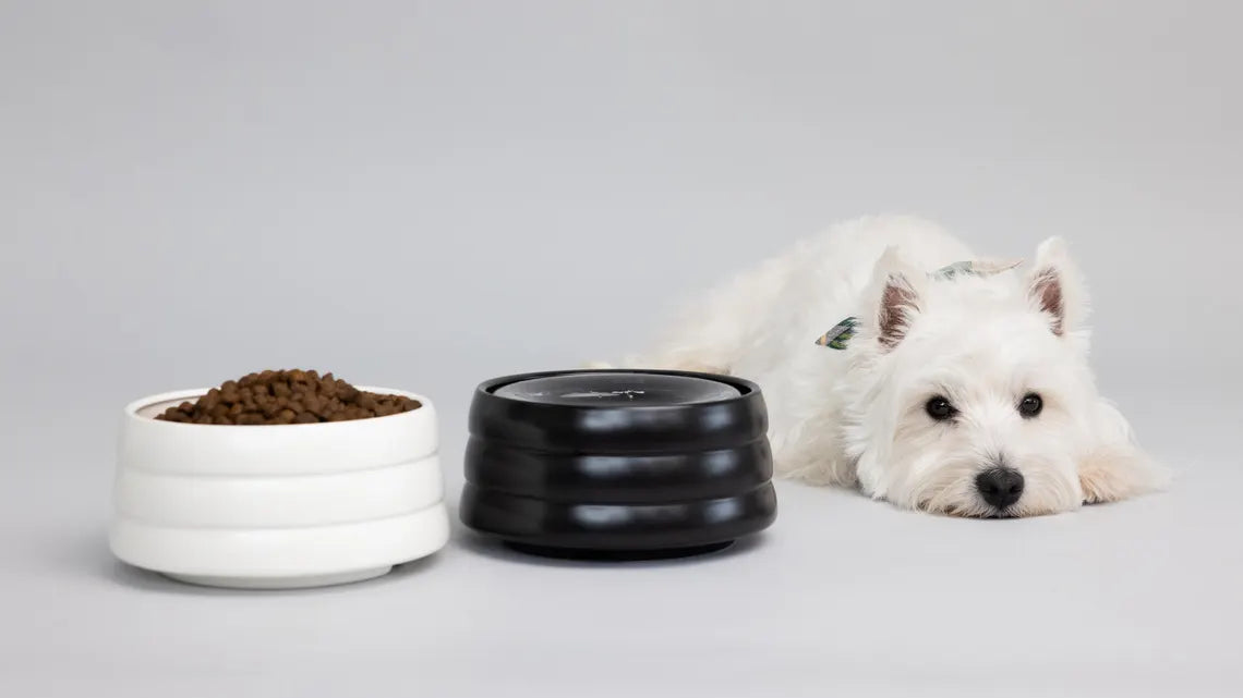 Splashproof drinking bowl
