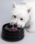 Splashproof drinking bowl