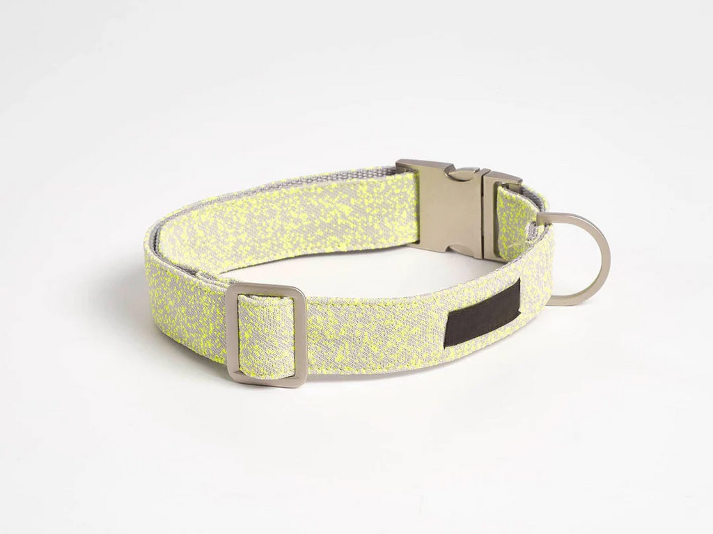 Star shaped webbing collar and leash set