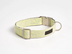 Star shaped webbing collar and leash set