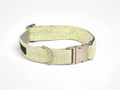 Star shaped webbing collar and leash set