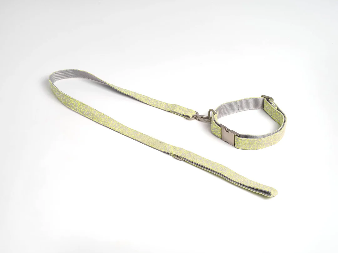 Star shaped webbing collar and leash set